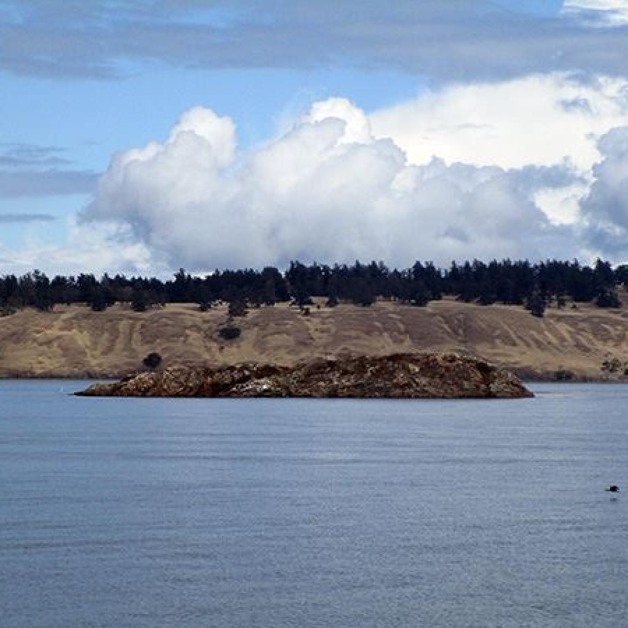 Landmass coming out of the water with bare sides at a incline and topped with a forest of green trees. The water surrounding Posey Island reflects the light blue sky with fluffy white clouds.