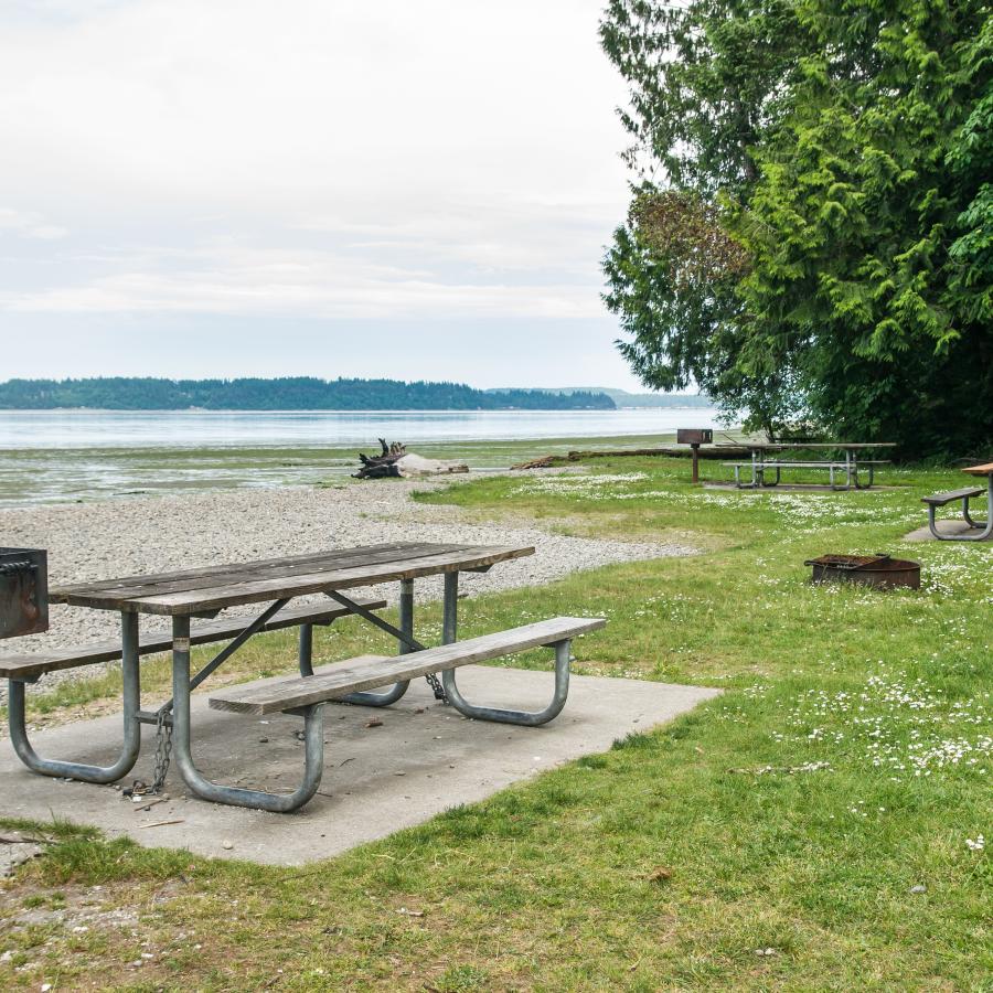 Three picnic tables on concrete pads with are visible with two grills and a fire pit. The concrete pads are separated out by green grass and border a rocky beach which is to the right. Some type fo green plant life is floating o the visible water and in the far distance additional forested land mass can be seen. There are some trees on the right side of the photo that have bright green leaves.