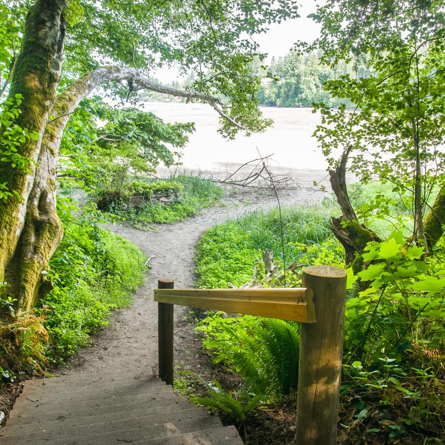 Wooden stairs with a wooden handrail down to a trail that leads to the rocky beach. On both sides of the trail trees with bright green leaves are visible as well as green understory.