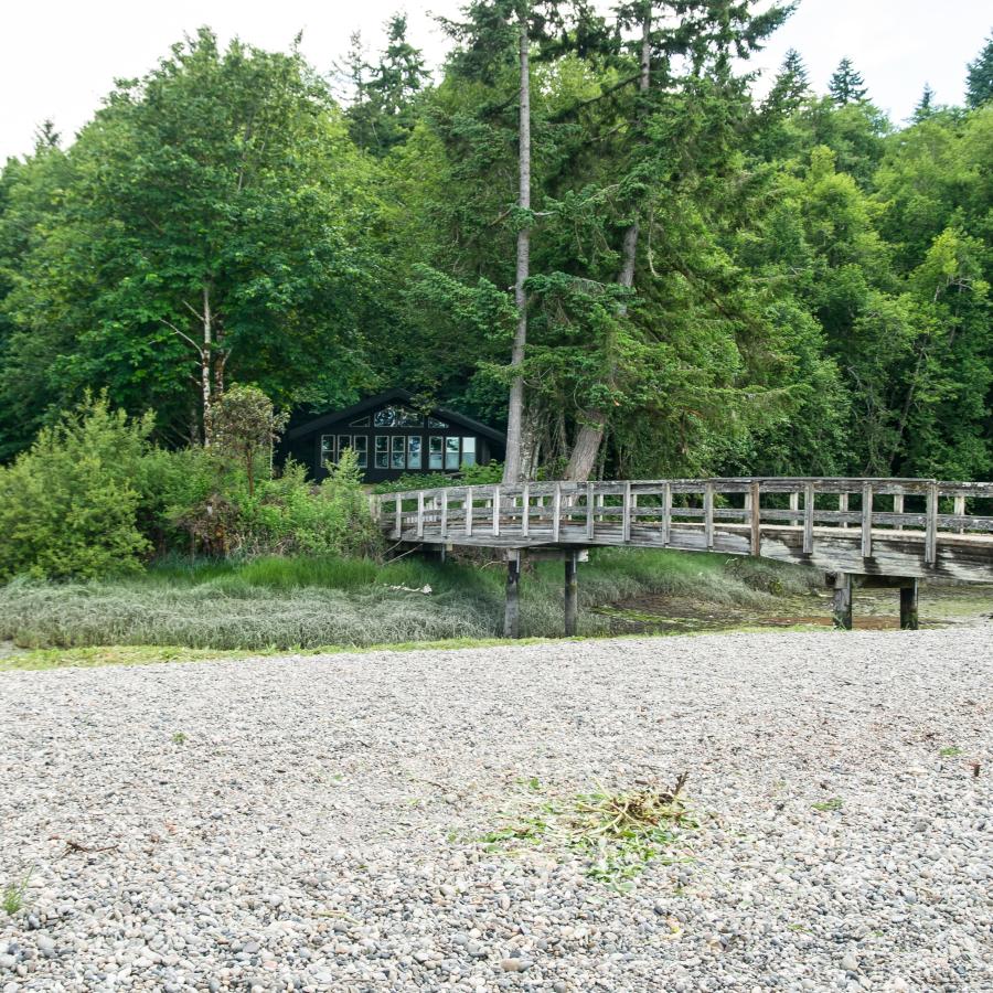 Looking at the bridge from the rocky beach. The bridge spans over the water and connects the main land to the beach area. The water is covered in a green aquatic plant. On the forested side of the bridge there is a building visible. The forest is bright green with tree leaves.