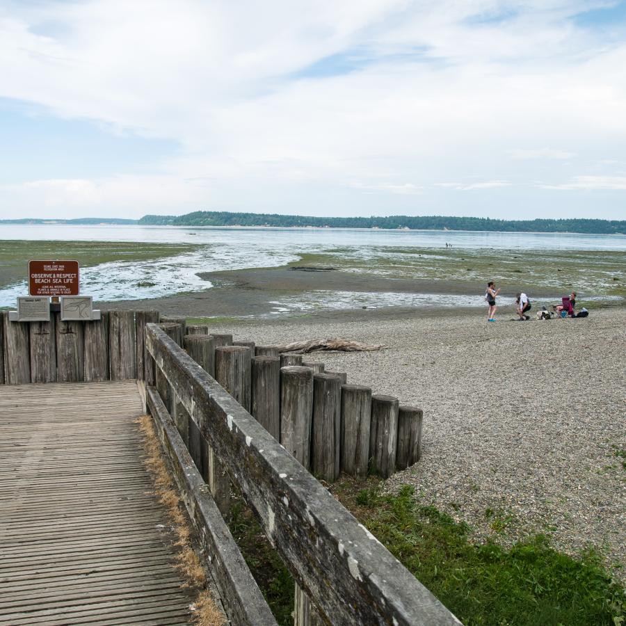 Standing on the wooden greyish-brown bridge looking toward the rocky beach and water. There is a sign at the end of the bridge that asks visitors to observe and respect beach sea life. There are three adults on the beach with two youths, some camp chairs, driftwood, and some green aquatic plants.