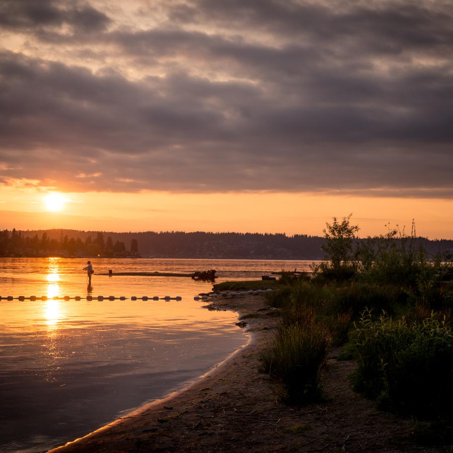 Orange-gold light from the setting sun bathes the waters at Lake Sammamish in a peachy-gold hue. A person is standing in the water and aquatic recreation area buoys are visible in the midground. On the left side of the photo, green foliage is visible.