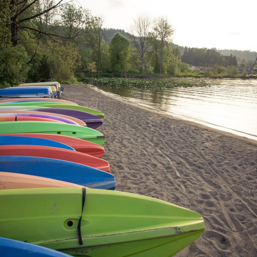 Multi-colored kayaks in green, purple, orange, red, and blue arranged in a line along a sandy beach. In the background lush trees are visible as is Lake Sammamish and some aquatic vegetation.