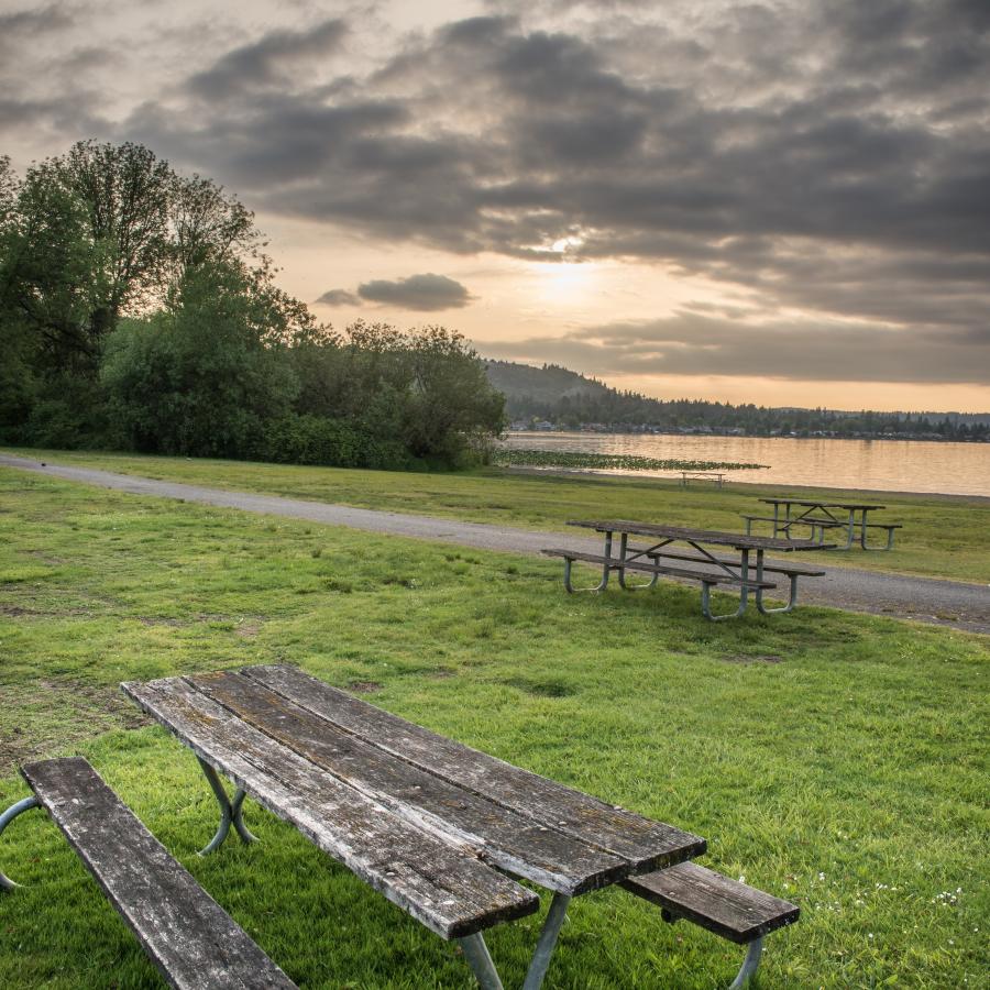 Weathered wooden picnic tables setting in lush, vividly green grass fill the foreground of the image with the paved trail at Tibbets beach bisecting the photo on a diagonal. Lush trees, some of the beach on Lake Sammamish, and grey clouds are visible in the background.