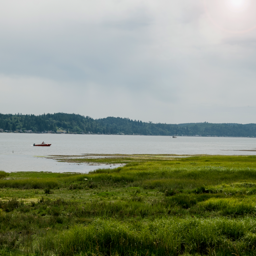 Belfair shoreline on Hood Canal boating and fishing