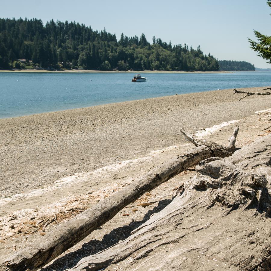 Cutts Island shoreline puget sound salt water and forests