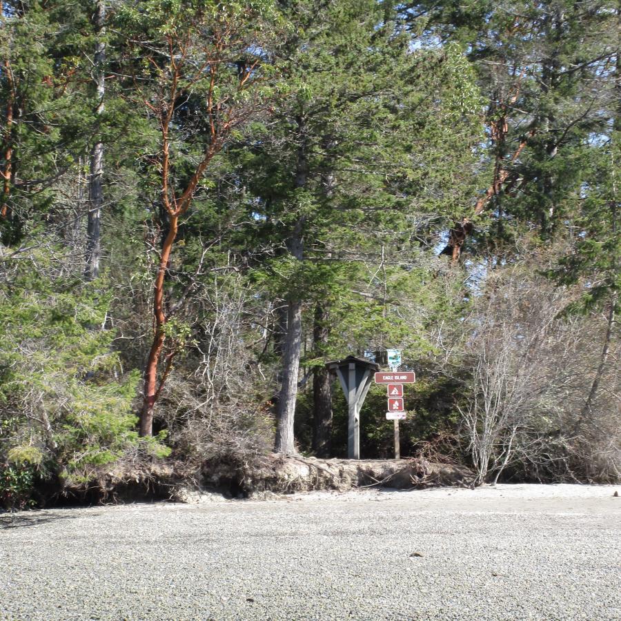 Eagle Island shore and information board trees beach