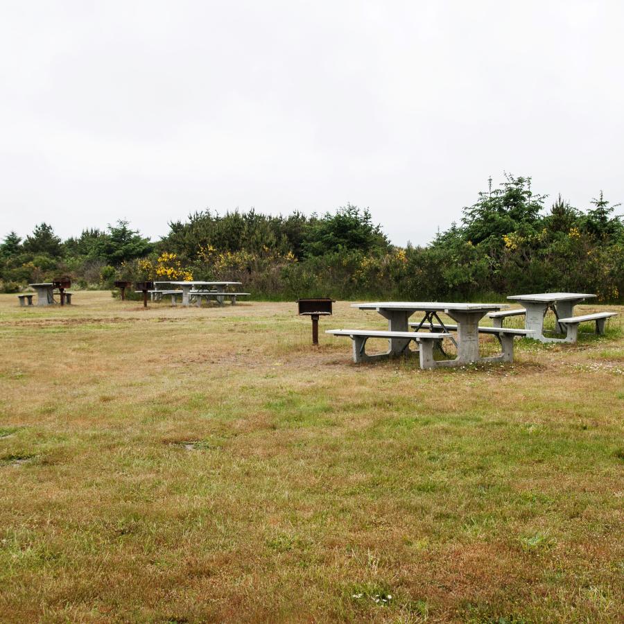 Griffiths-Priday day use grass picnic tables