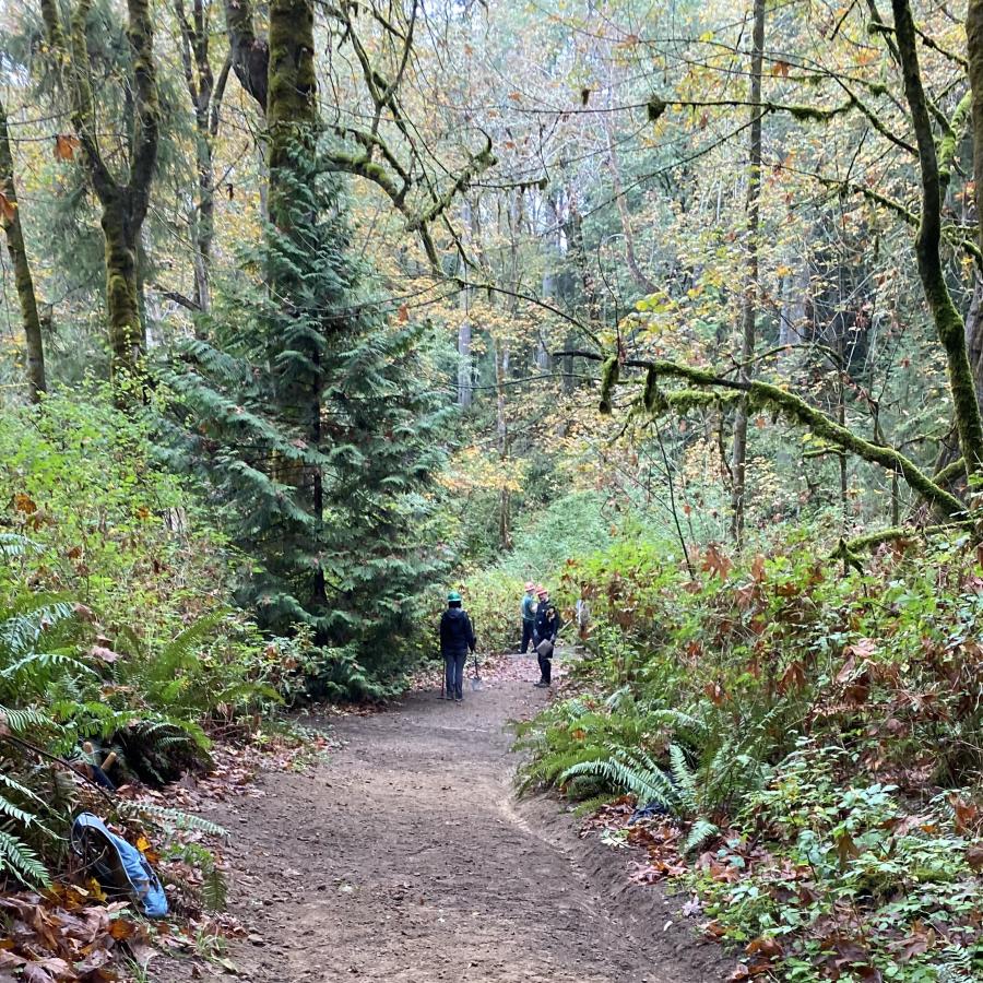 Kopachuck Trails people walking in forest autumn
