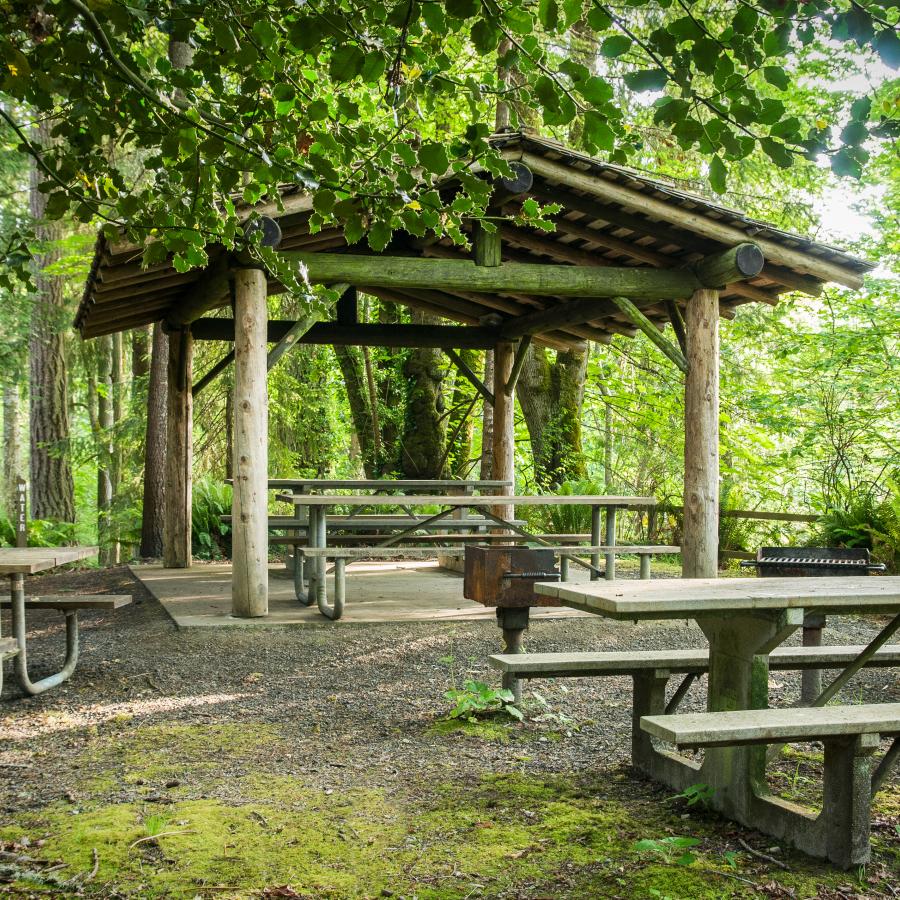 Kopachuck picnic shelter trees