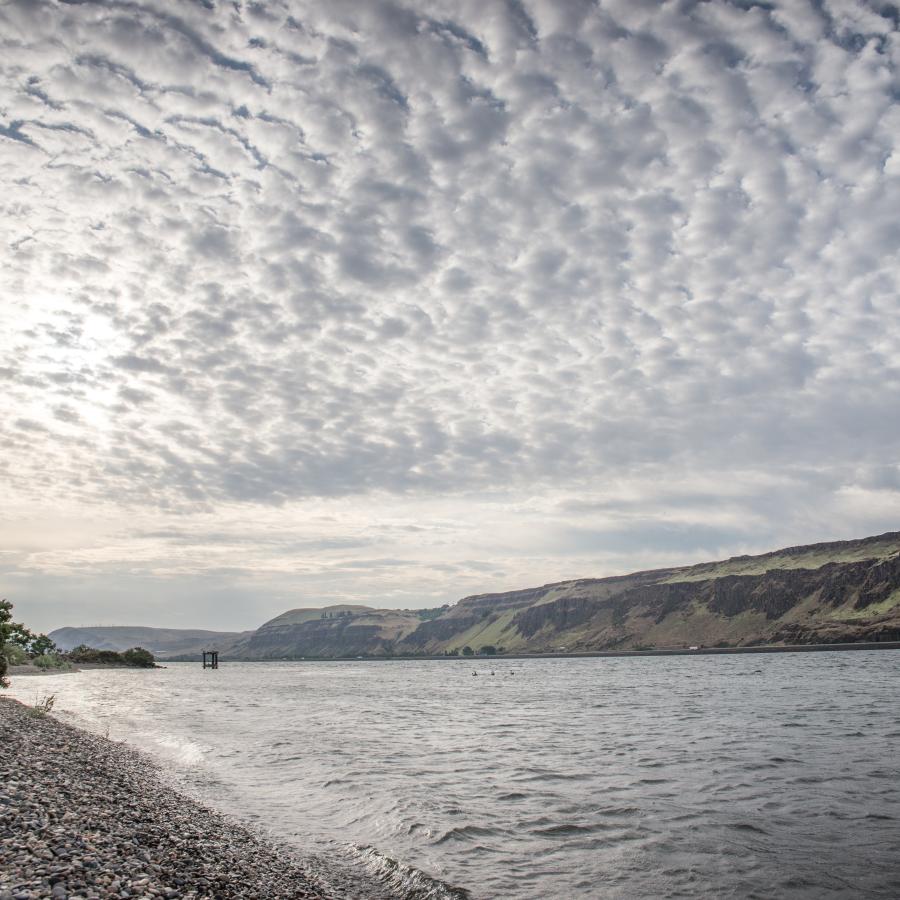 Pebble beach on a river