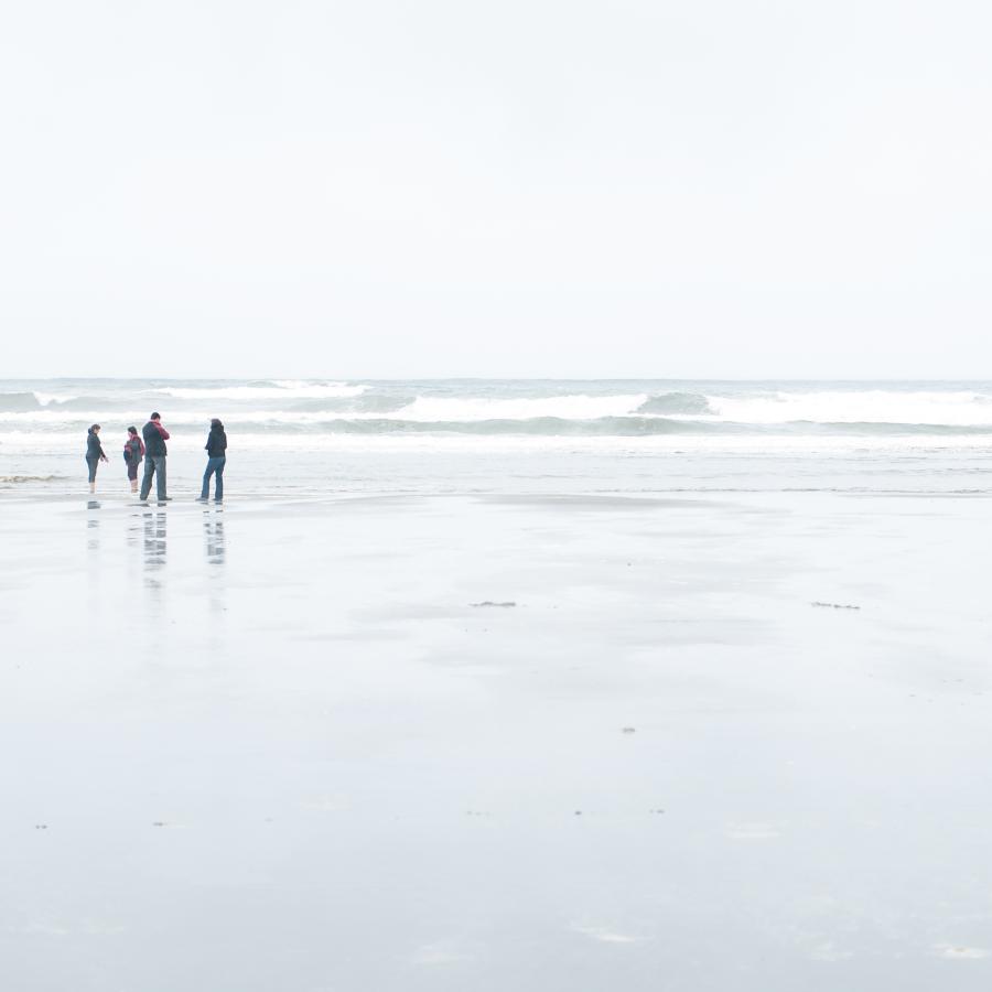 group of people walking along the shoreline