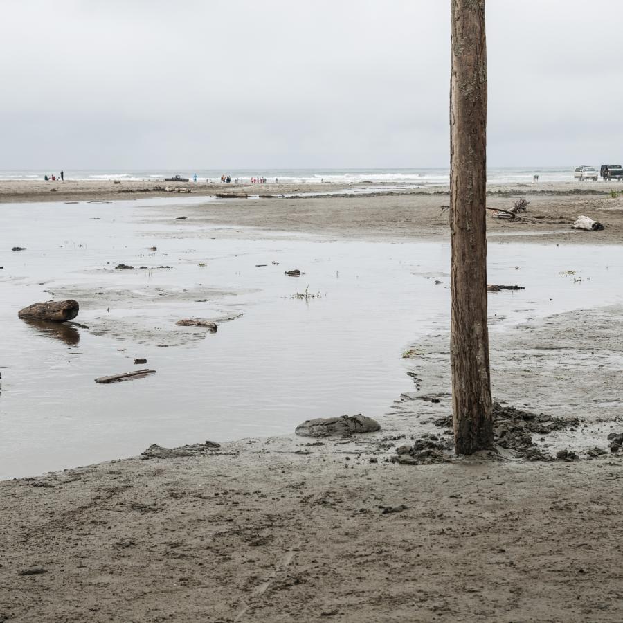 Beach at low tide, post sticking up cars on beach in the distance