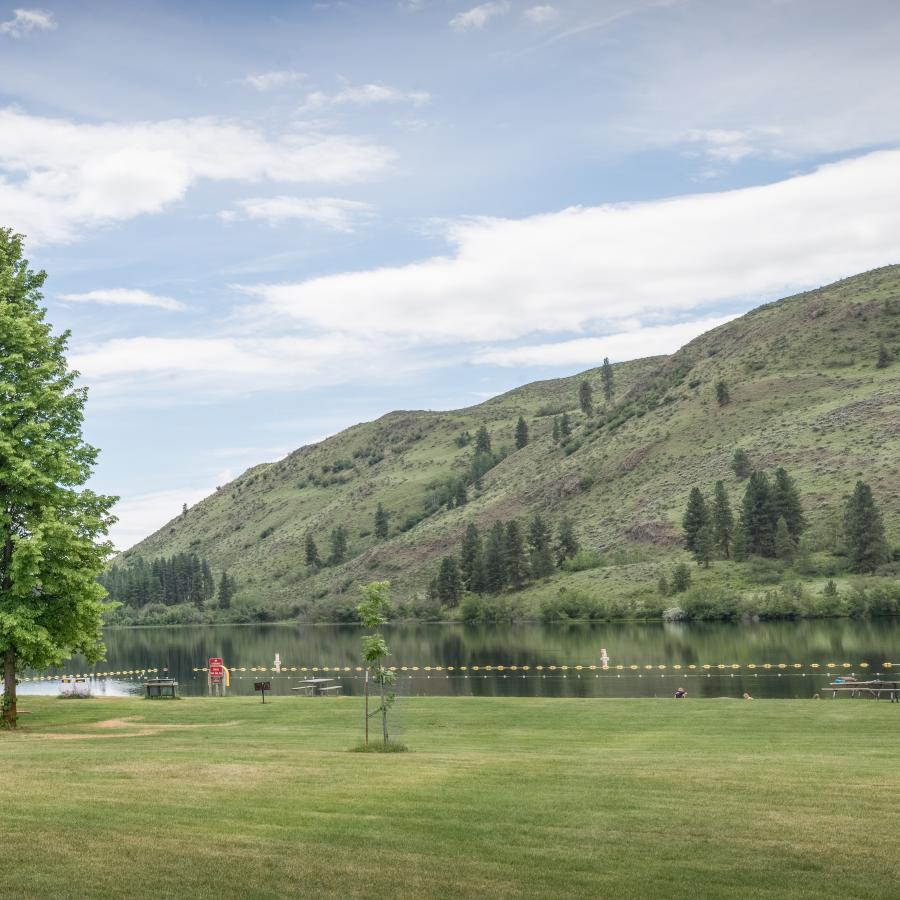 Grassy lawn scattered with full, green trees and picnic tables leading to the water's edge with a buoy swim line calmly sitting on the water.