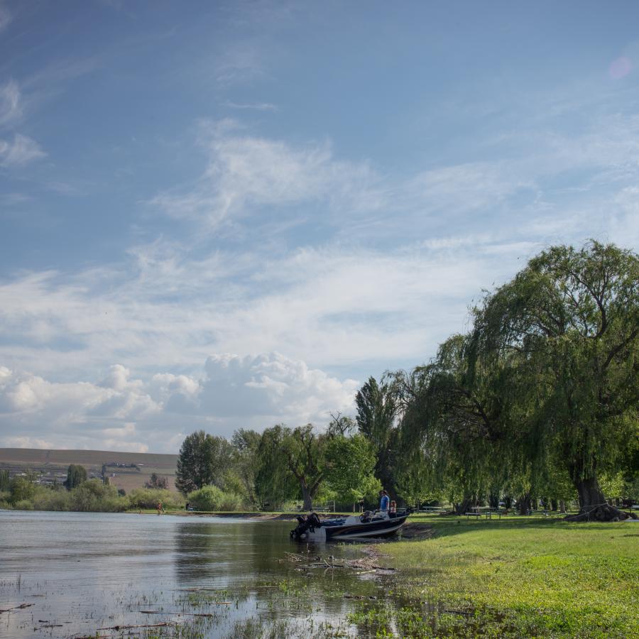 A boat is beached along a grassy lawn, nearby a picnic table sits alone. Large, green trees are blowing in the wind, farm hills and a slightly blue sky sit in the background.