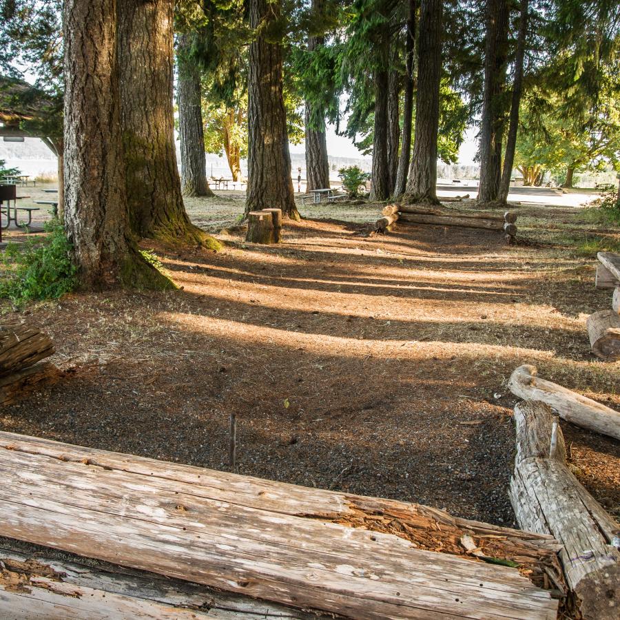 Horse shoe pit with log corral shaded by tall pine trees