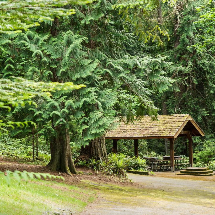 Scenic Beach picnic shelter near forests