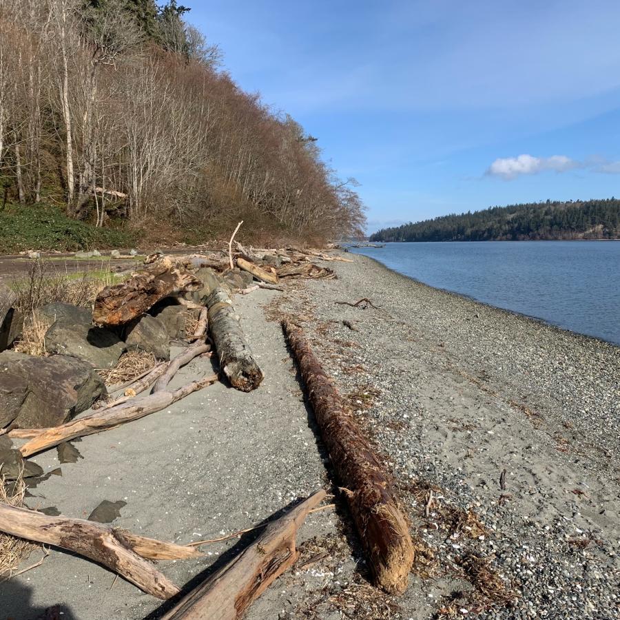 Shine Tidelands shoreline near forest areas