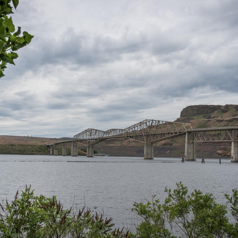 Looking over green shrubs at the river with a high bridge in front of the brown and green hillside in the background.