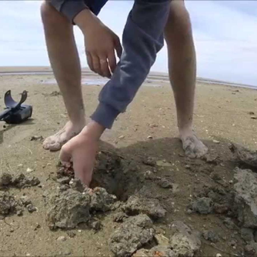 Metal detecting on the beach.