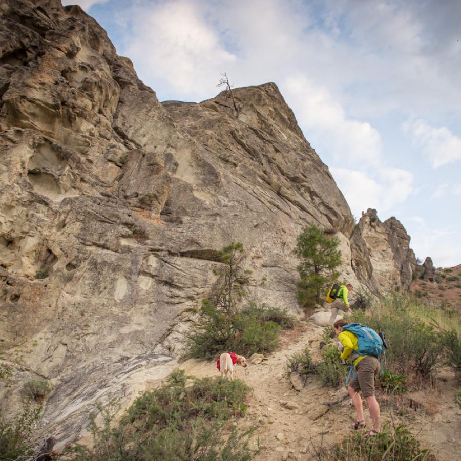 Mountain hikers on trail.