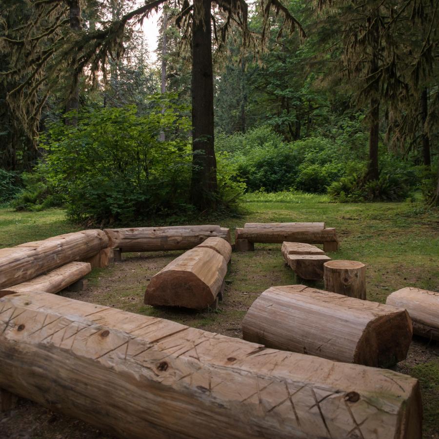 Amphitheater with large wooden log seats against a background of lush green trees and undergrowth.