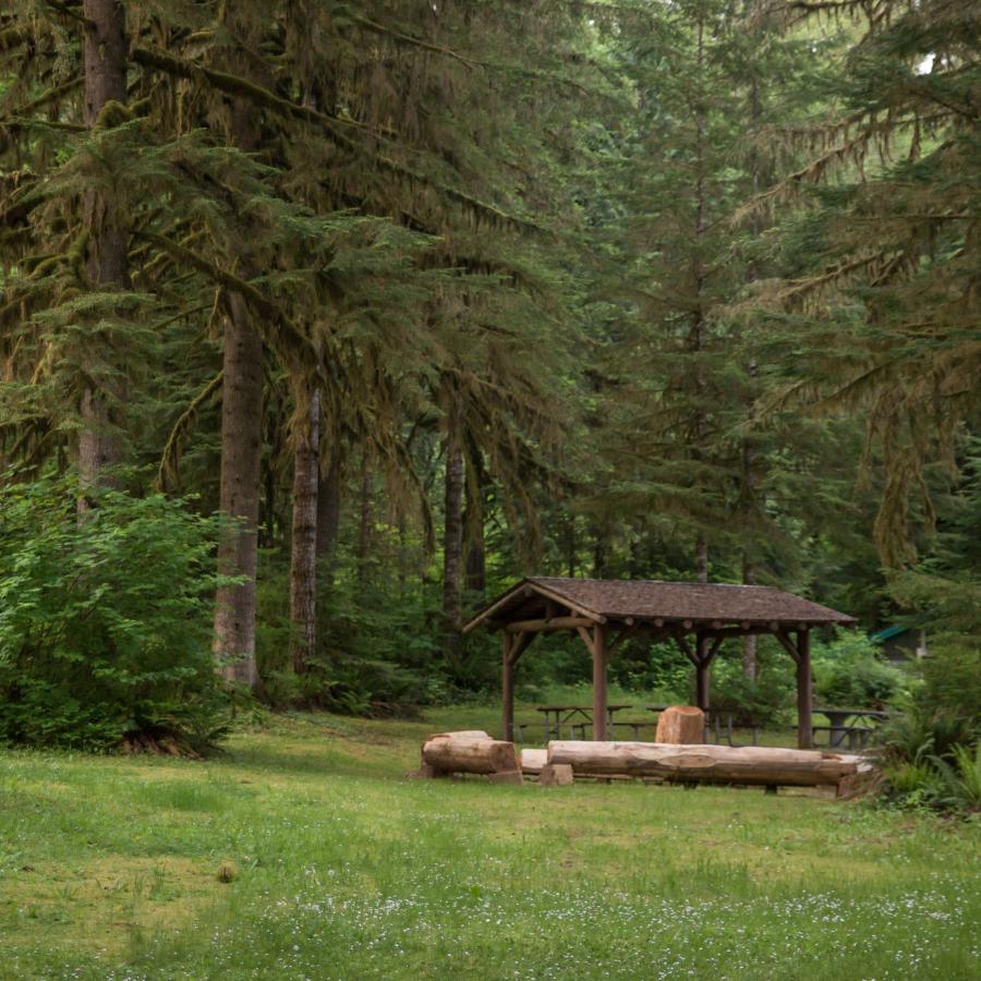 Open-sided picnic shelter with three picnic tables and some log benches. The area around the shelter is mowed with some visible white flowers and set against a background of lush green trees.