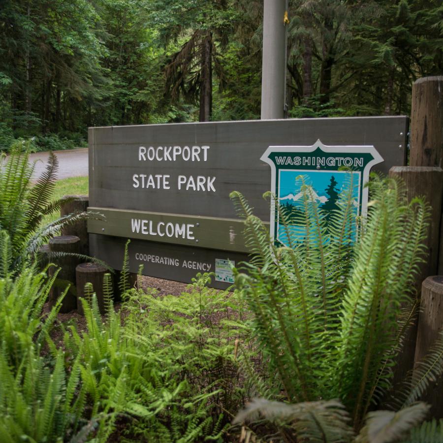 Rockport State Park wooden entrance sign with the state parks shield and the word "welcome." In front of the sign is ferns and in the background lush green trees and undergrowth. 