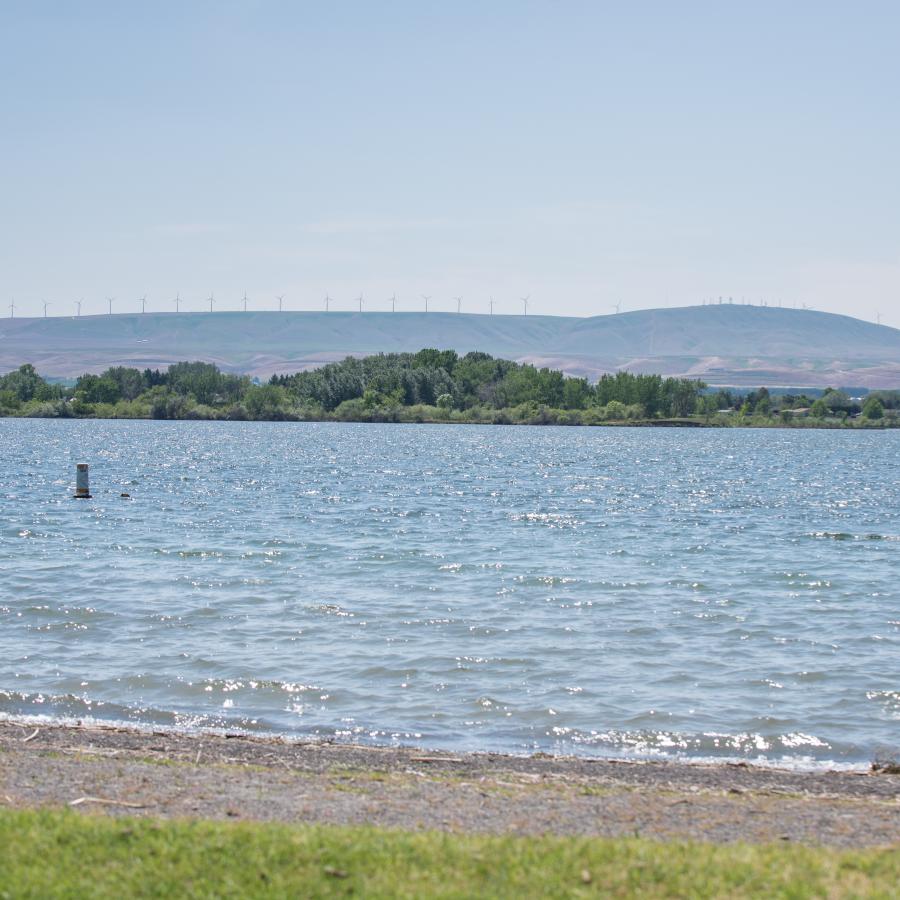 A view from the shore looking over the Columbia River with trees along the far shore and a far distant hillside topped with wind turbines.