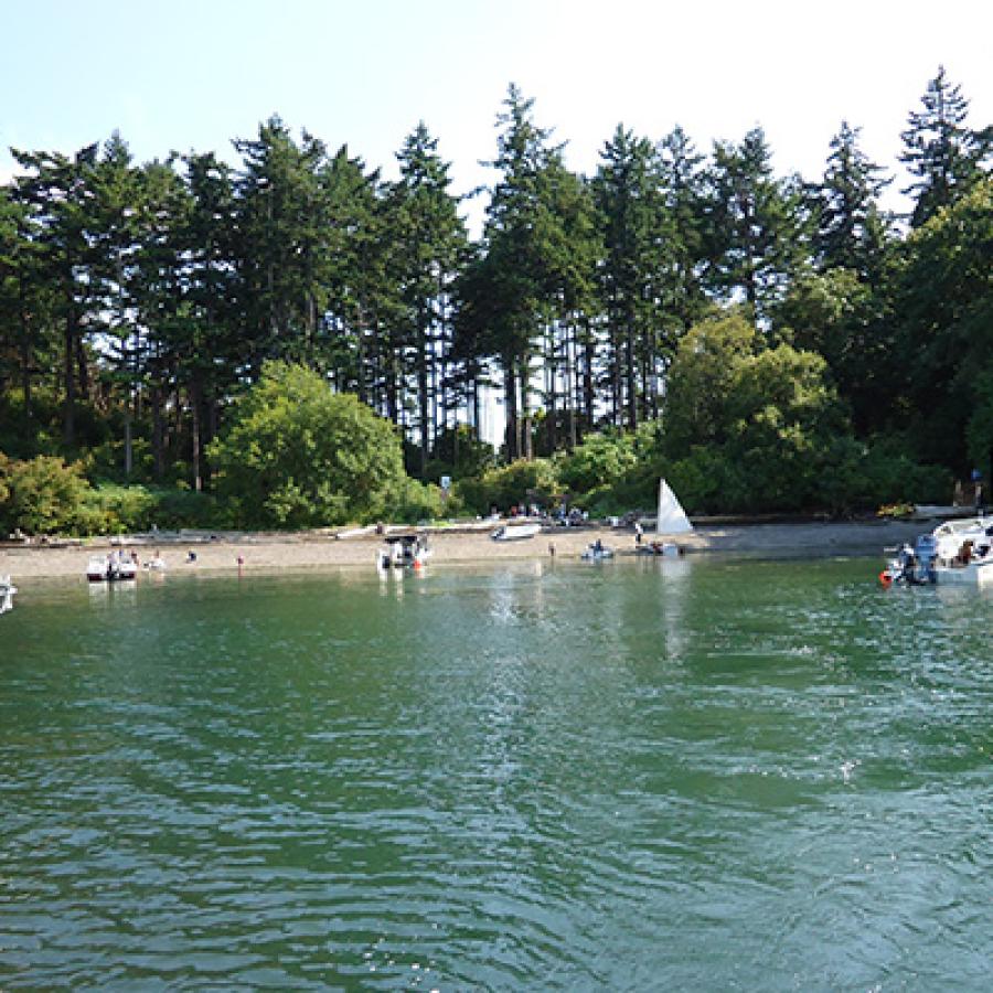 Boats are moored in the emerald water at Saddlebag island on a sunny day. There are tall evergreen trees above the sandy banks.