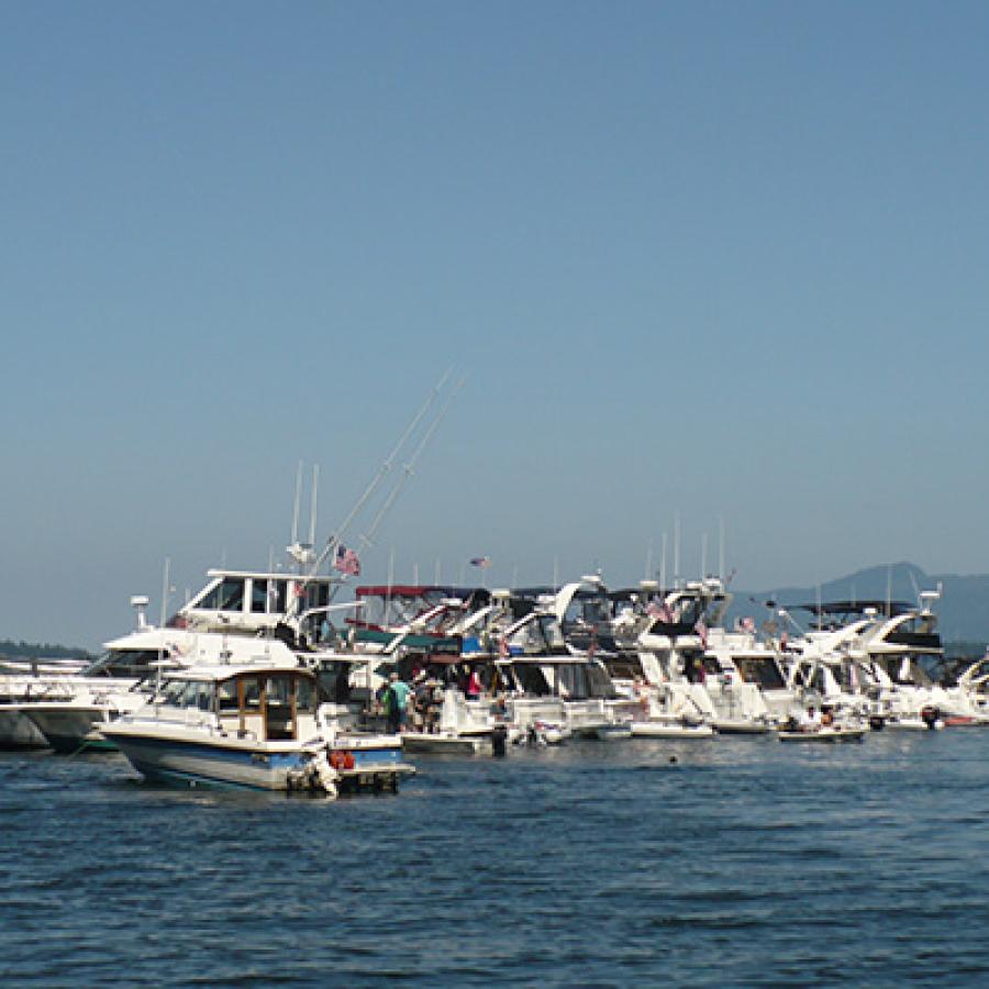 A group of white boats are clustered together in the water outside Saddlebag Island. There is a green mountain in the distance.