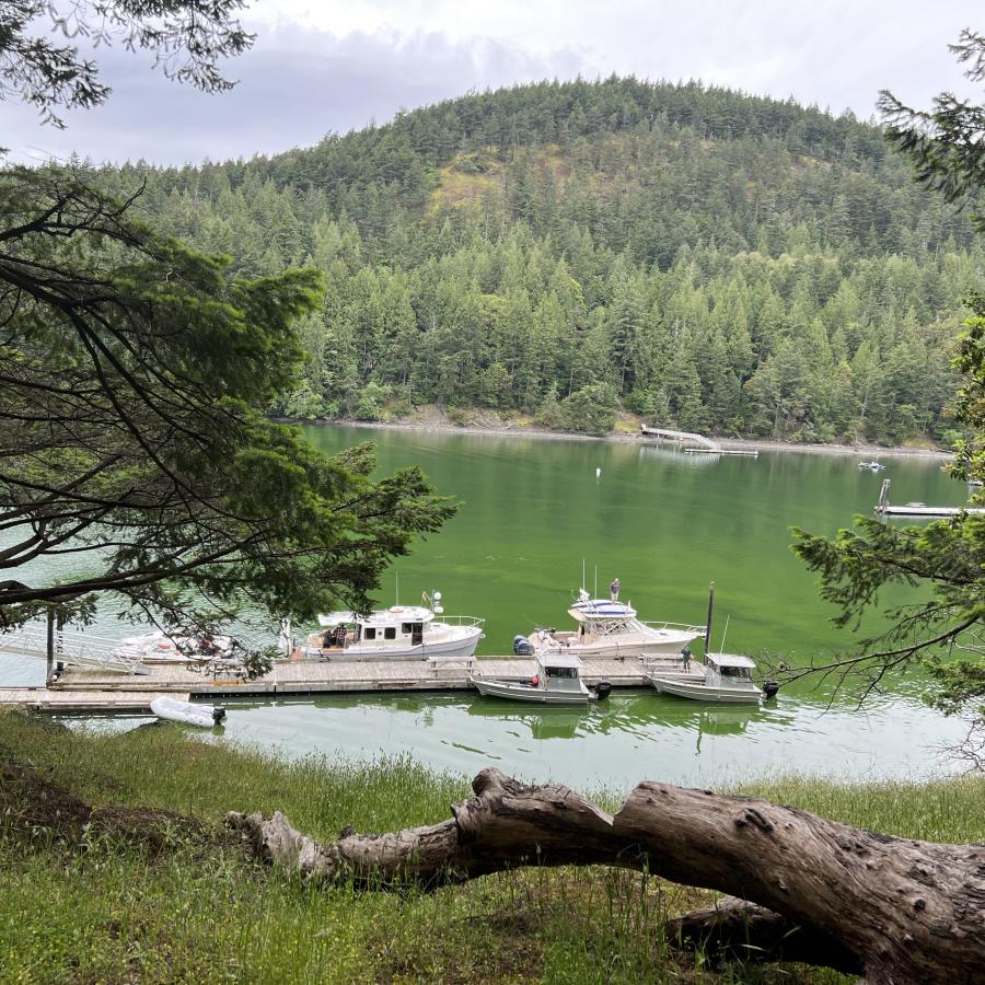view from a distance the boat dock with boats tied to it and viewing tree covered hills
