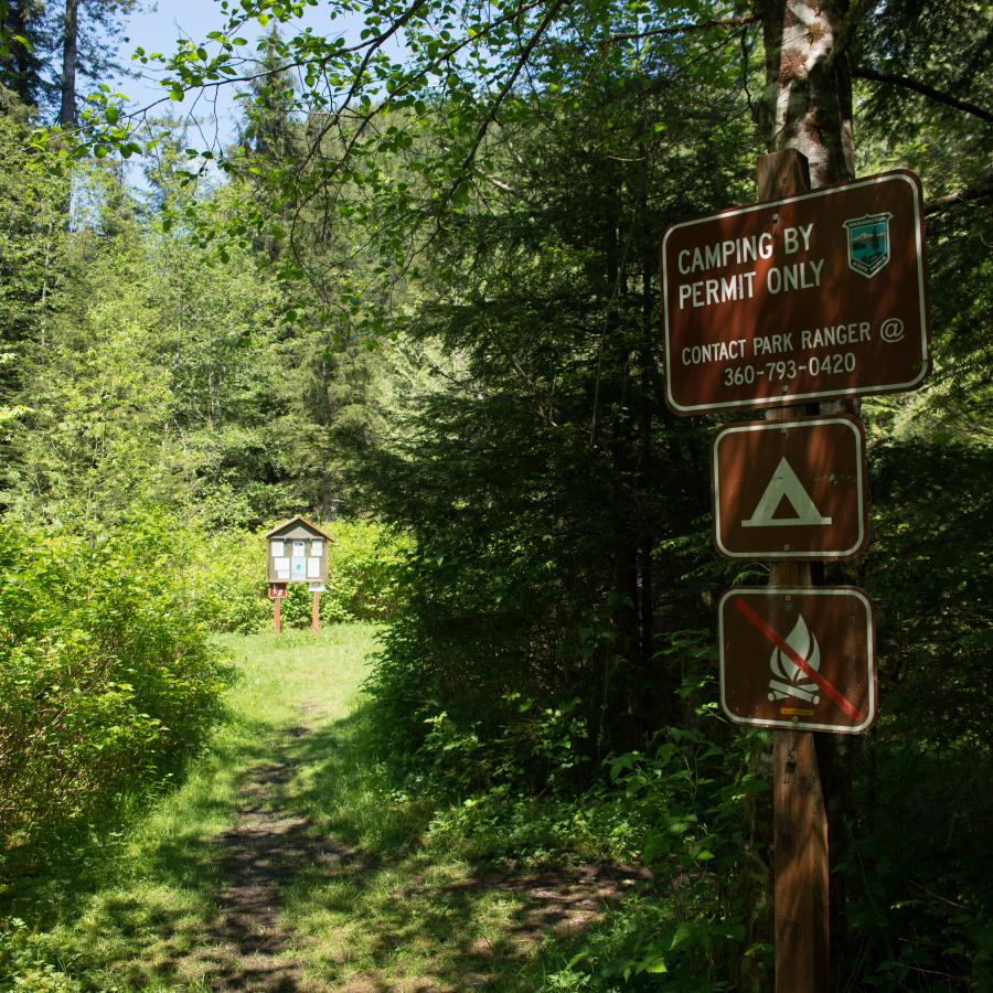 First come, first serve camping area entrance with a sign in the foreground to the right of the image informing campers to contact the ranger and that fires are not allowed. There is a trail to the camping area down the center with lush forest undergrowth and trees on both sides. At the end of the path it separates to the left and right. A notice board is in the center of the junction.
