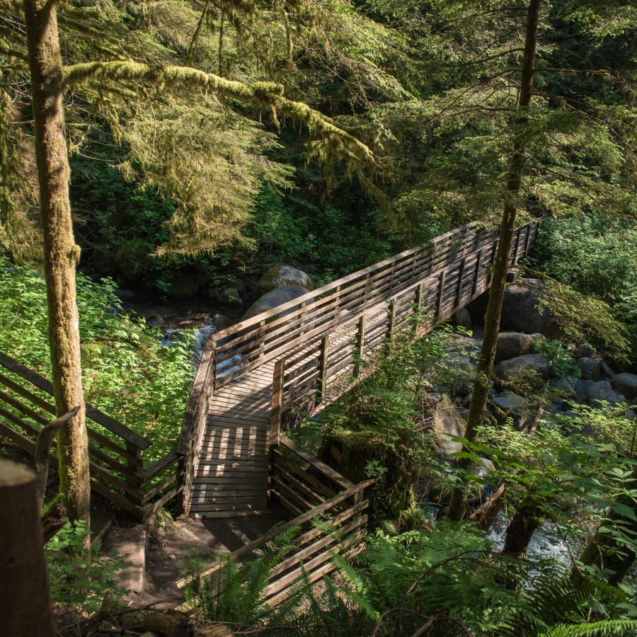 Top view of the wooden footbridge over the water connected to a dirt trail with stairs. The footbridge is surrounded by lush green forest and undergrowth plants.