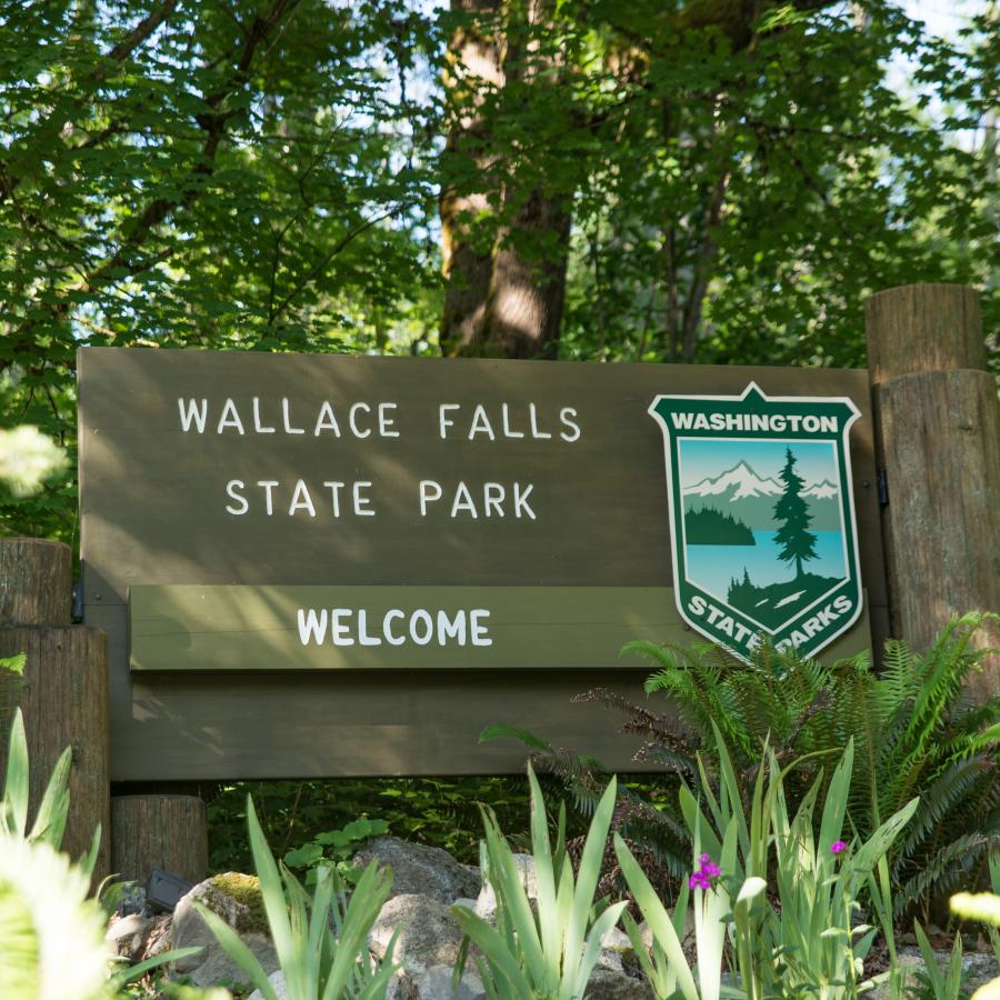 Wallace Falls State Park wooden entrance sign with the state park shield and the world "welcome" on it. In the background there are lush green trees and in front of the sign are ferns and other green plants.