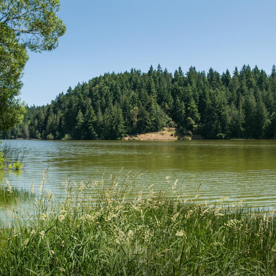 Anderson Lake State Park.