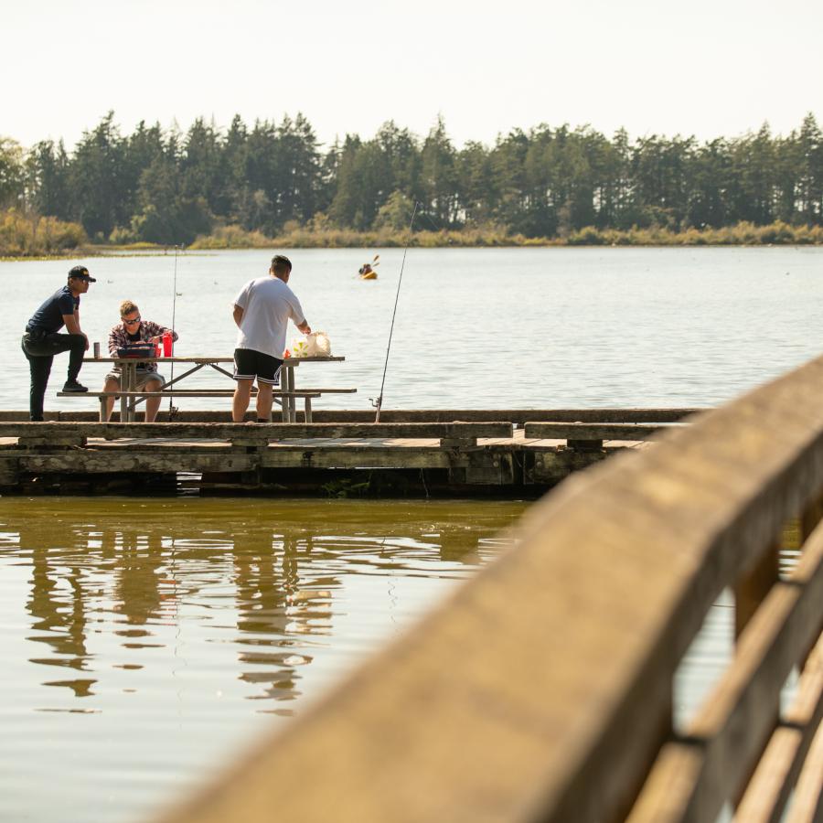 A group of people fishing from a dock.