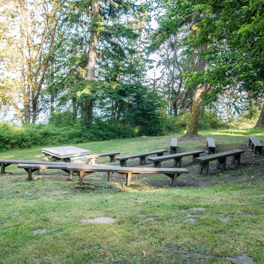 The amphitheater and seats in a green grass hillside with trees and bushes in the backdrop. Water can be seen through the trees.