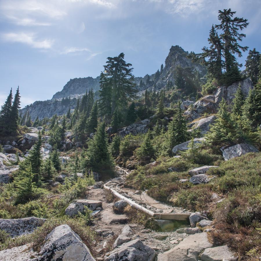 A view up the mountain with the trail lined with logs and trees scattered in the landscape. Large and small rocks surround the trail.