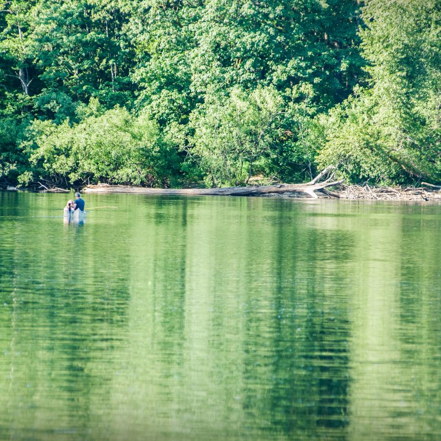 Canoers fishing on the lake that is reflecting the green trees and shrubs. Driftwood sits on the shoreline leading to trees.