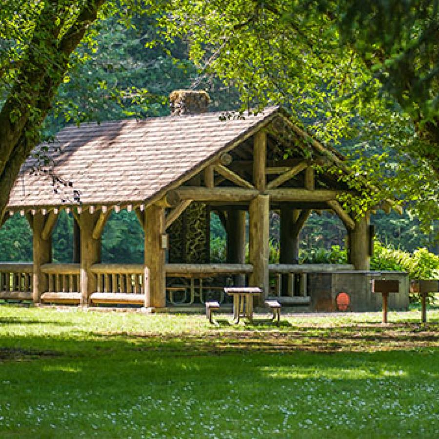 Tall trees frame a log kitchen shelter with picnic tables and barbecue braziers set on a wide, sunny green lawn.