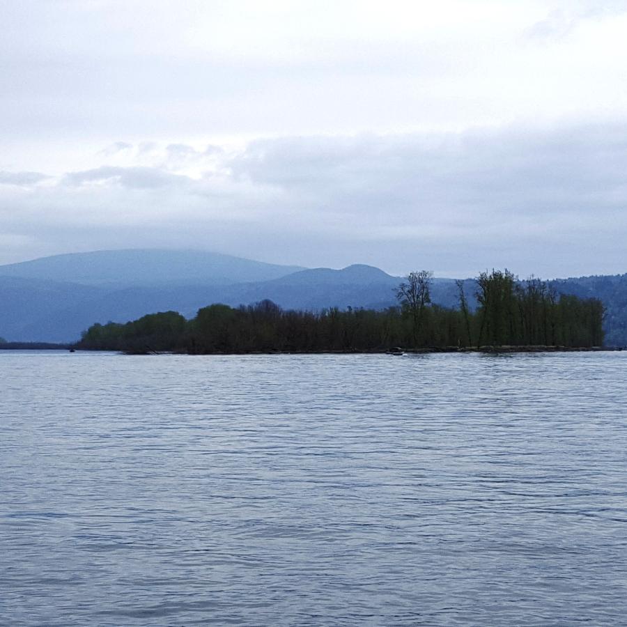 Reed Island State park across the water.