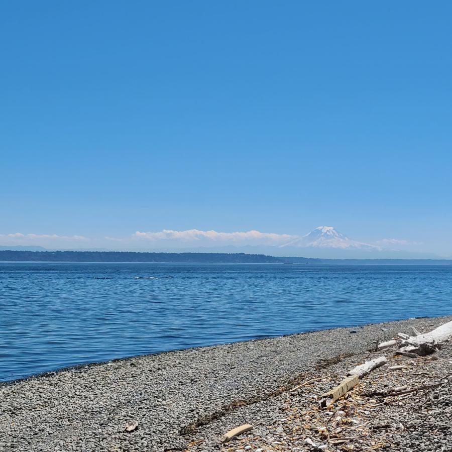 Blake island, mountain views, rock shoreline, salt water, puget sound