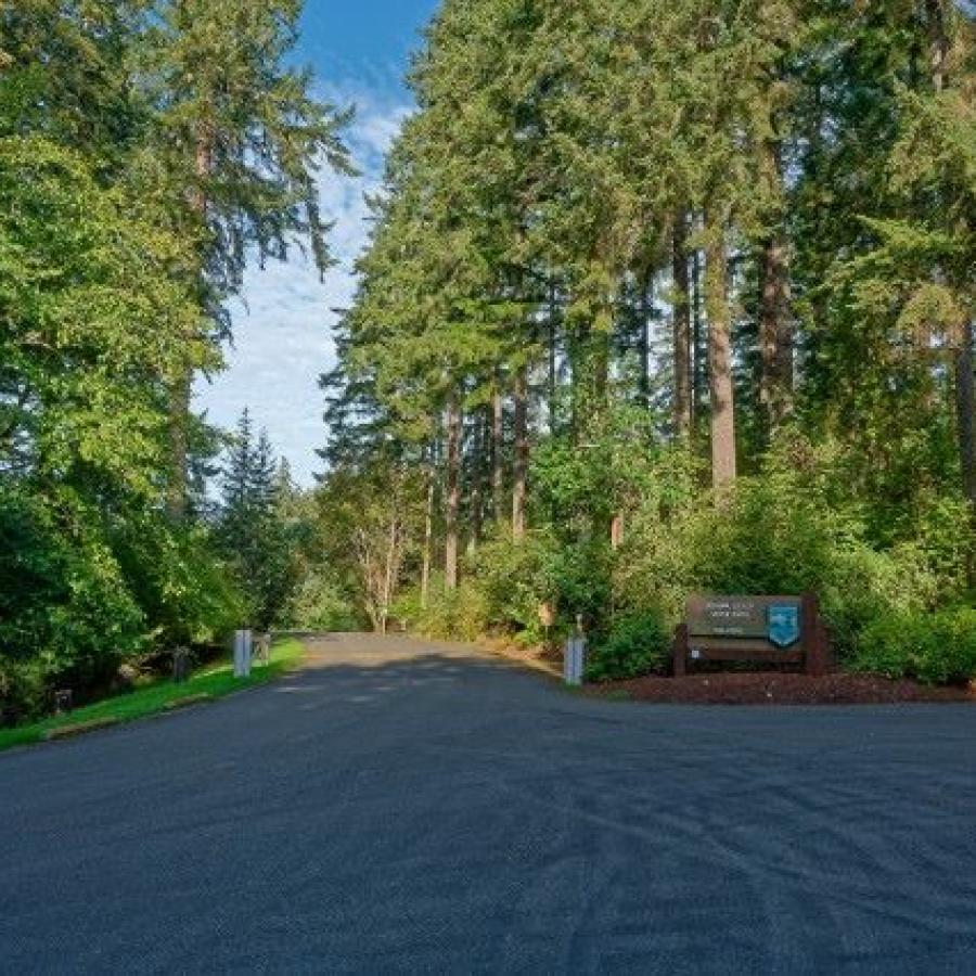 Joemma Beach entrance sign surrounded by tall fir trees