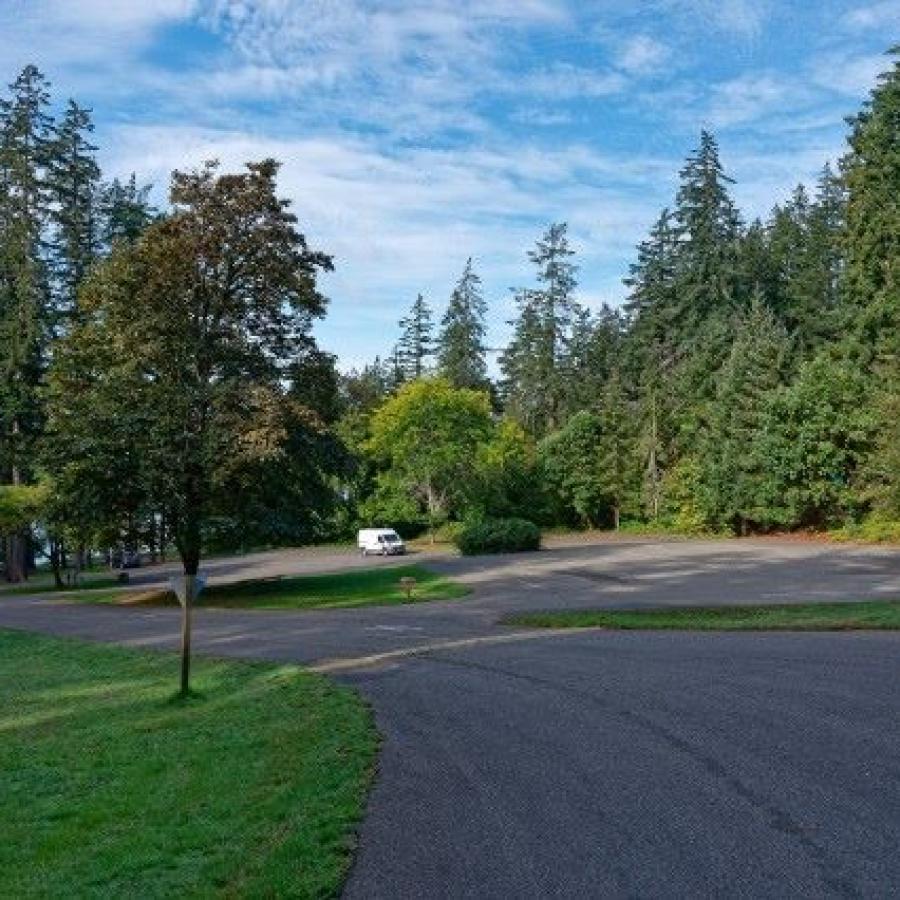 View of parking lot and surrounding green lawn and tall fir trees