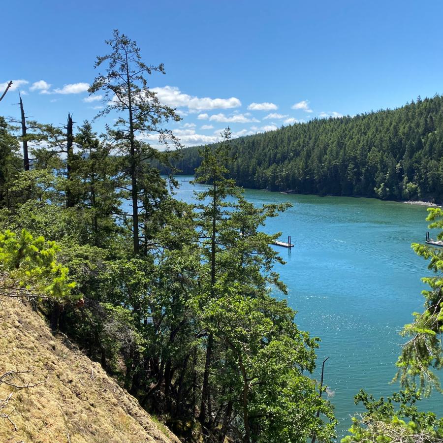 Standing on the edge of a tall hillside, covered with grass, rocks and evergreen trees, looking over water with a treed hillside and blue, slightly cloudy sky in the background. The water is obscured with trees from the tall hillside, with an opening to partially view two docks in water.