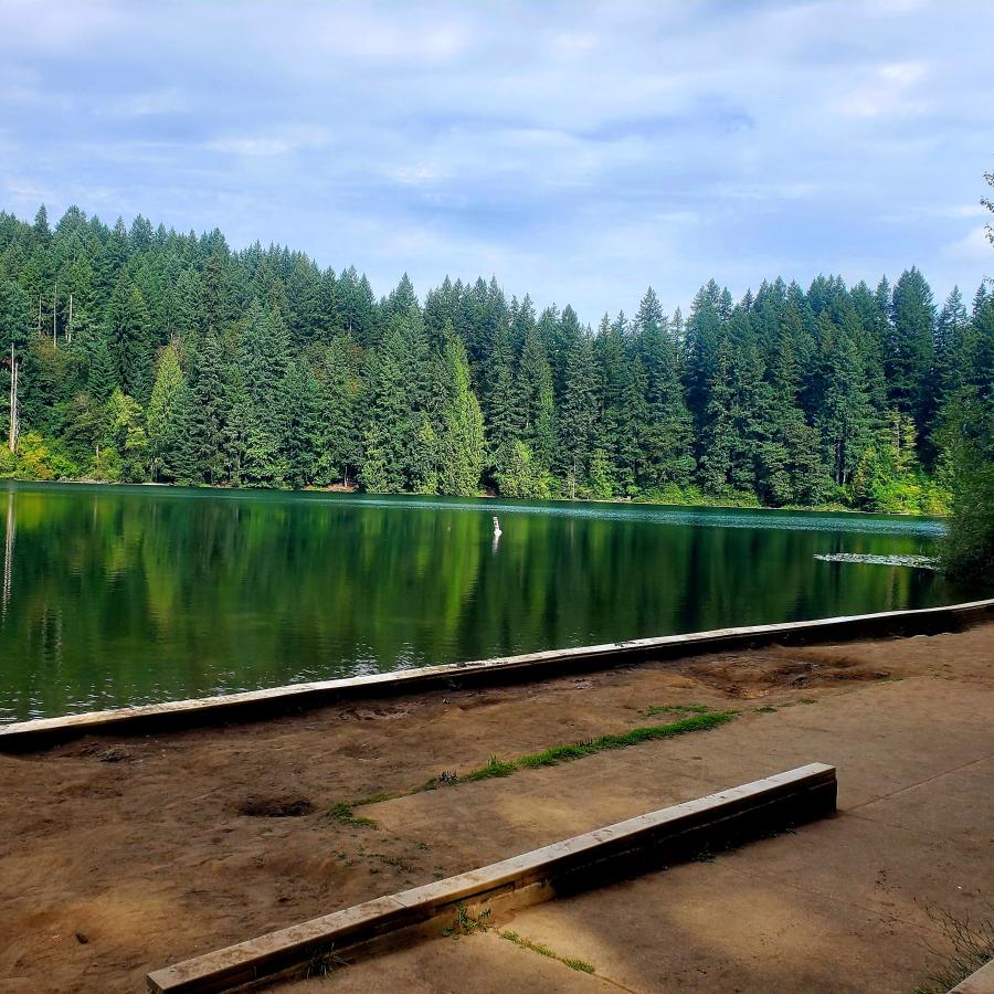 Sandy beach alongside a serine lake with pine trees and blue skies.