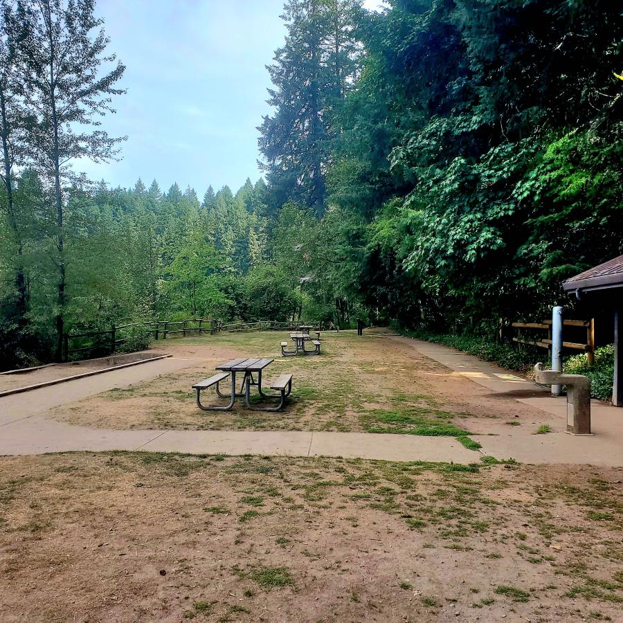 Grassy area with trees and blue sky. Area includes a sidewalk, a sign, two benches, a water fountain, and a brown building.