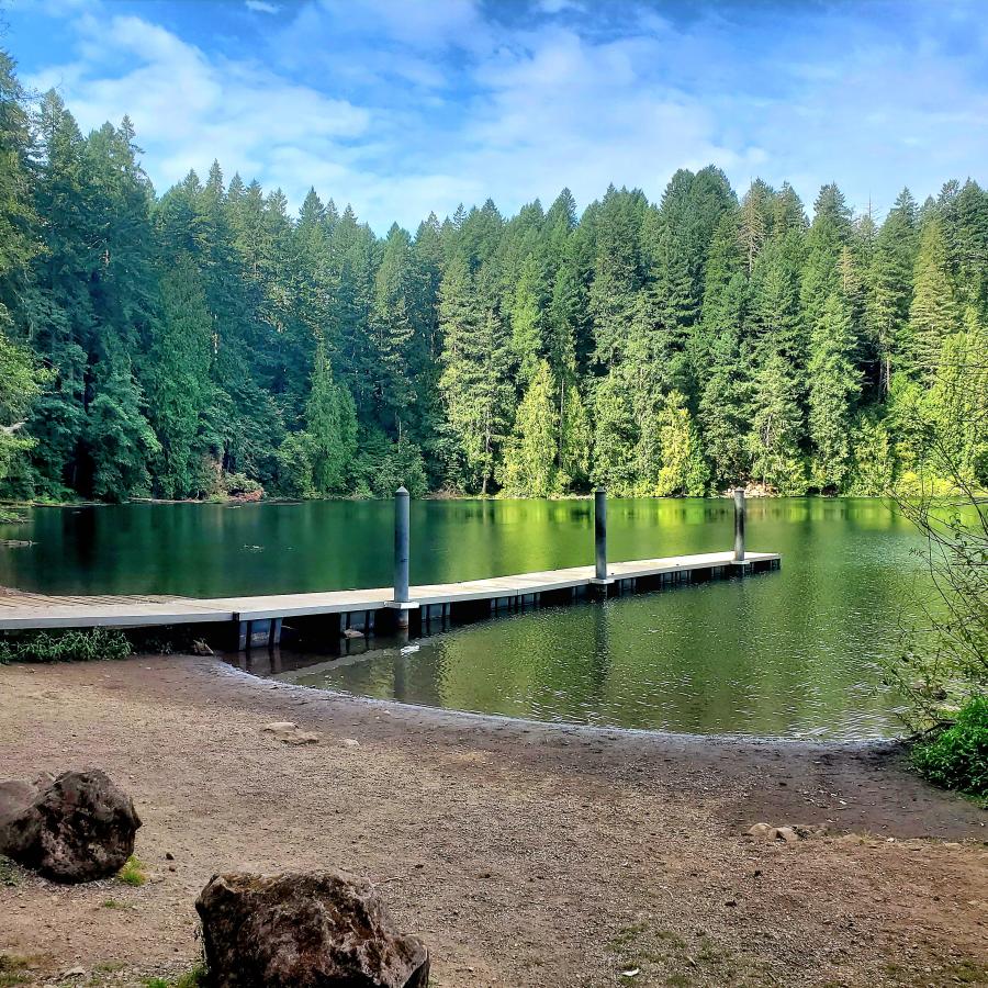 Dock protruding out into lake with rocks on shore in the foreground and pine trees and blue skies in the distance.