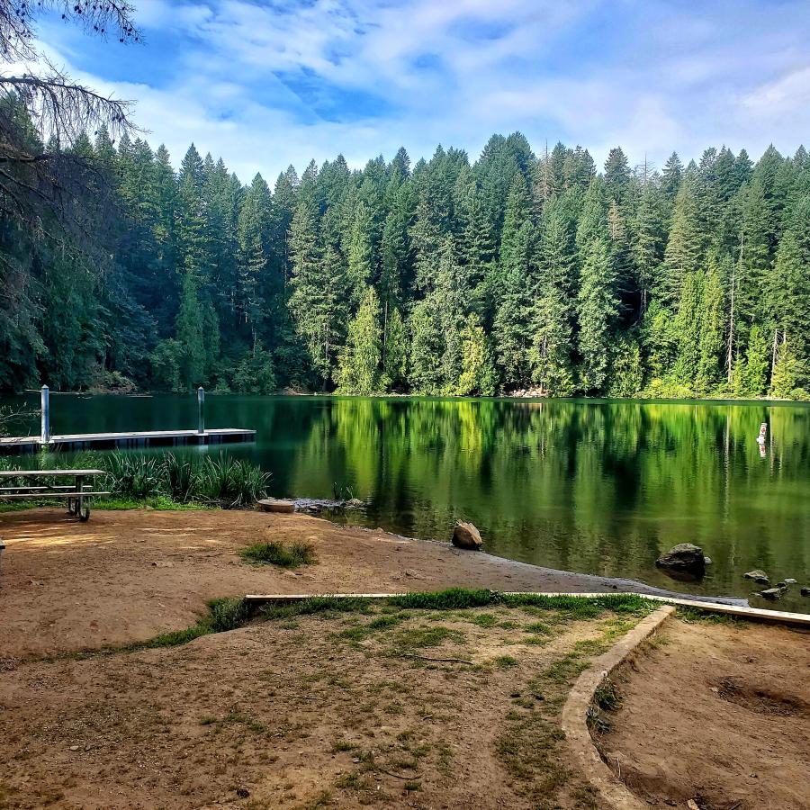 Calm, tree covered lakeshore with picnic tables in the foreground and a dock protruding from the left side.